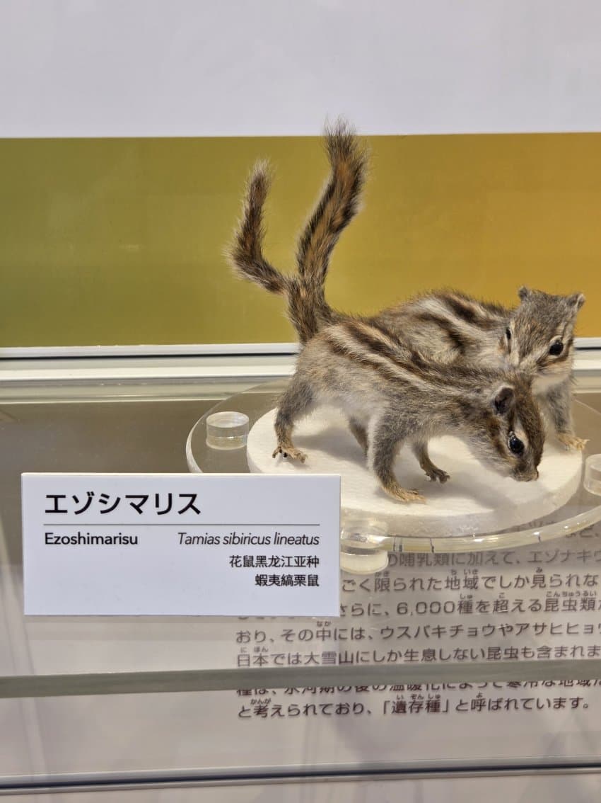 DC Inside 이미지 2