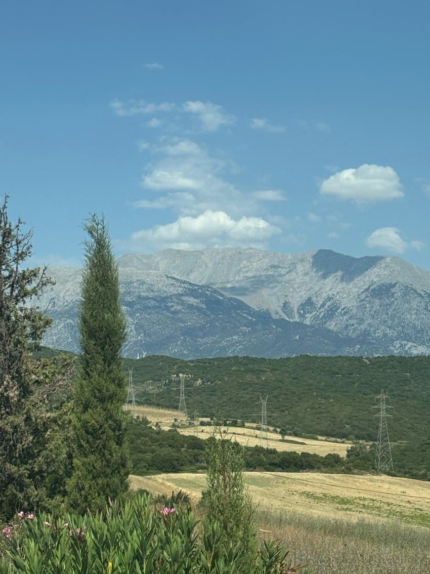 DC Inside 이미지 10