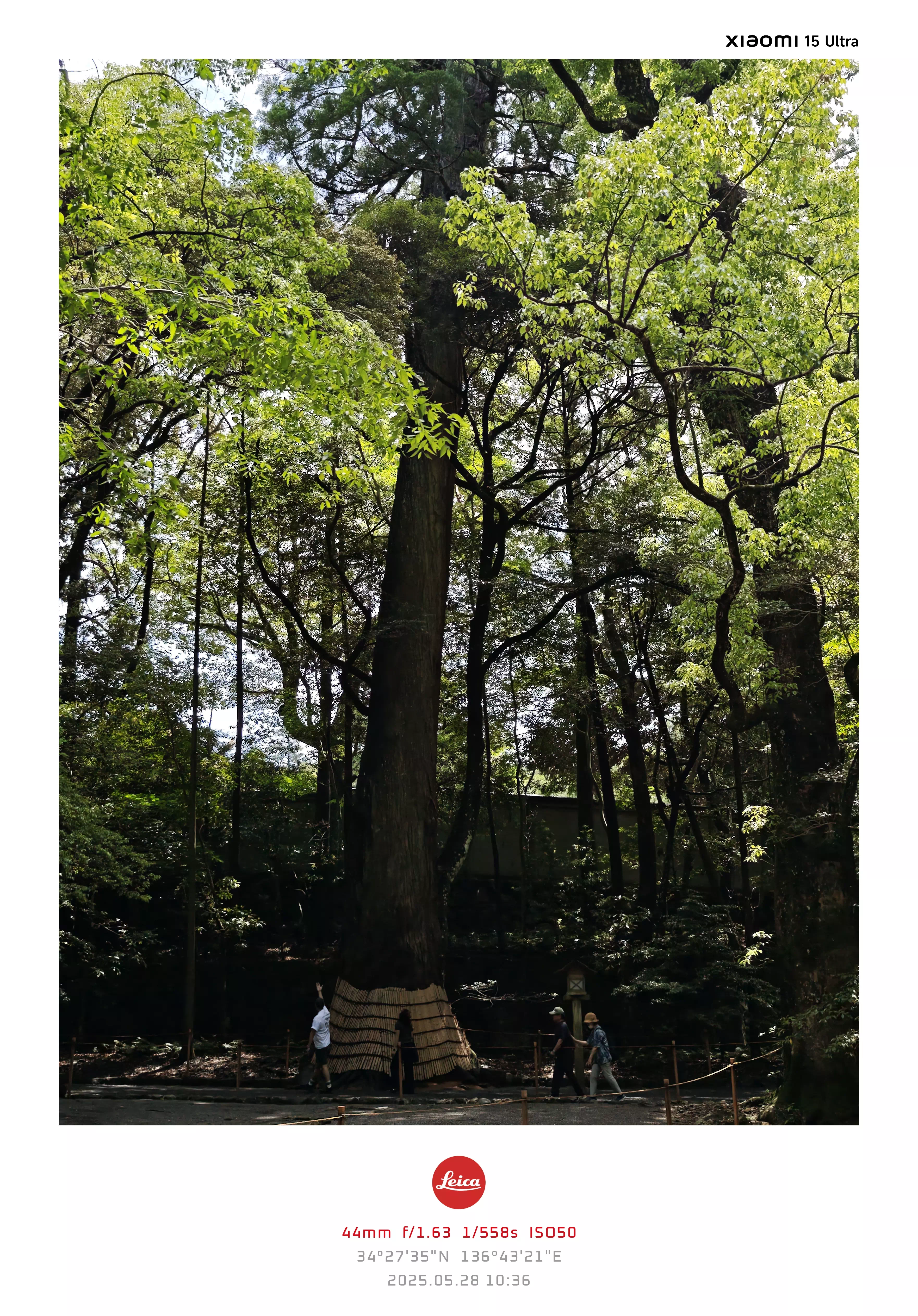 DC Inside 이미지 20