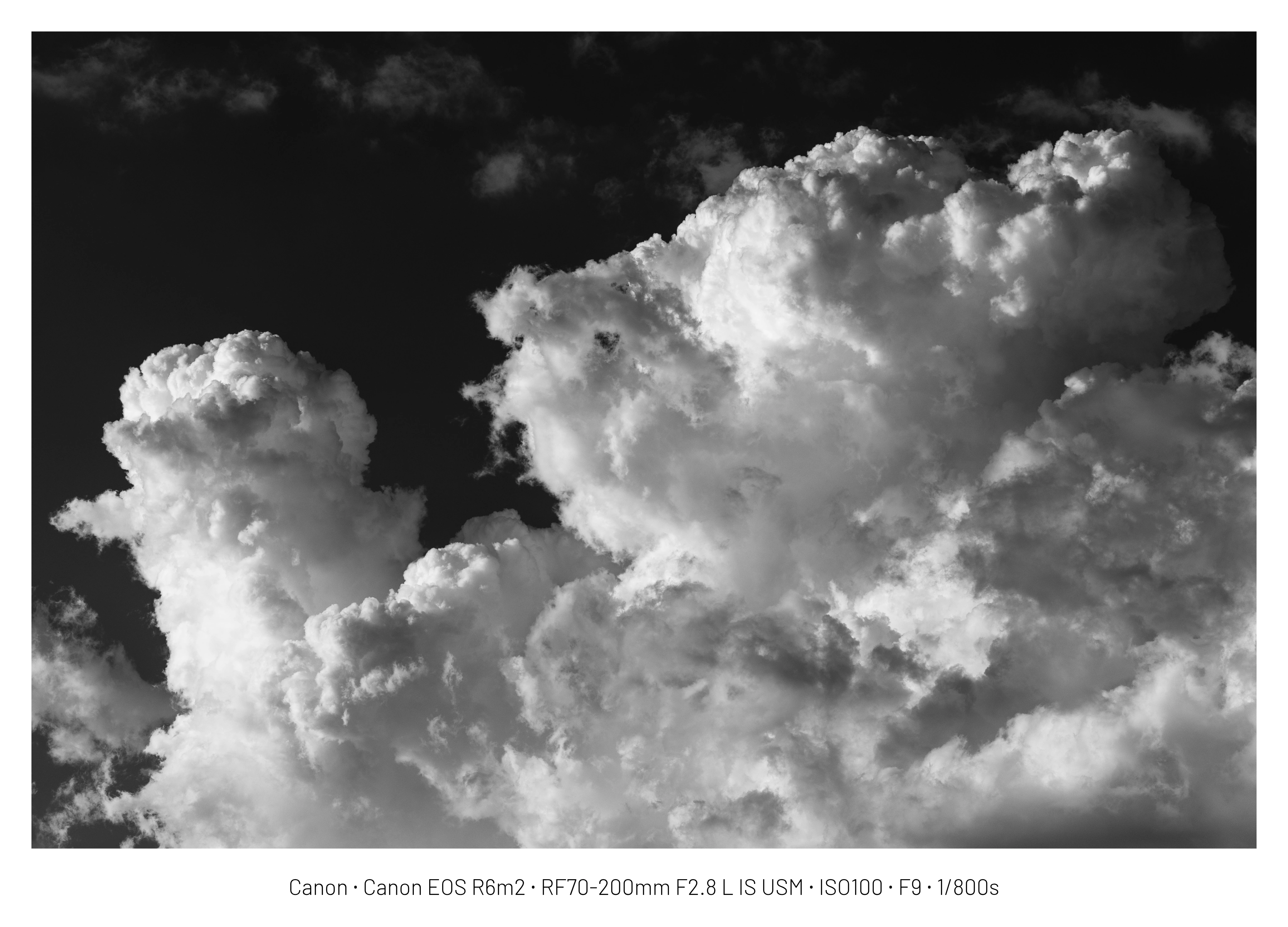 DC Inside 이미지 12