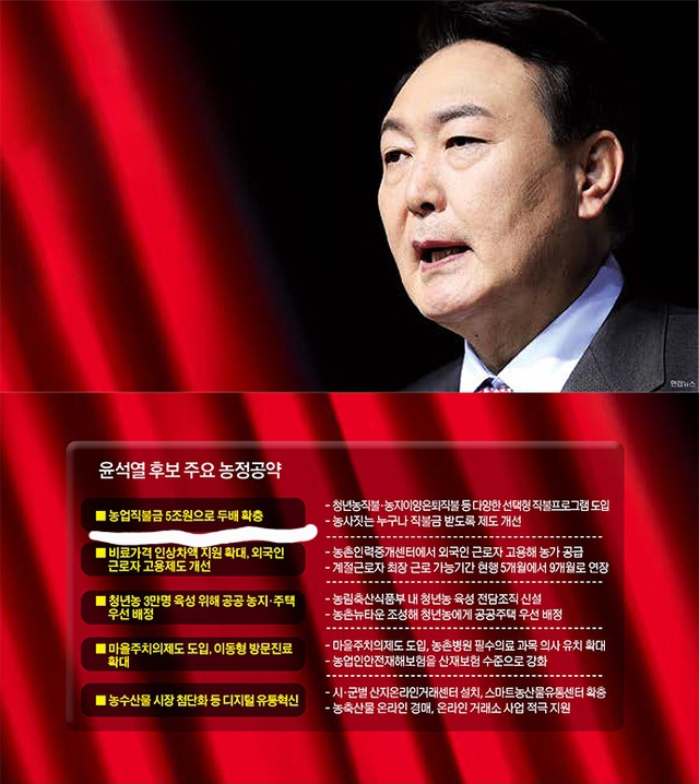 DC Inside 이미지 20