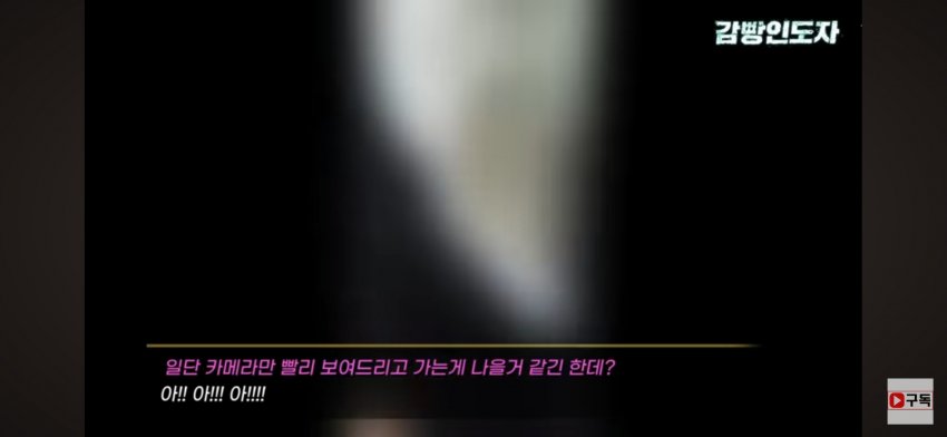 DC Inside 이미지 13