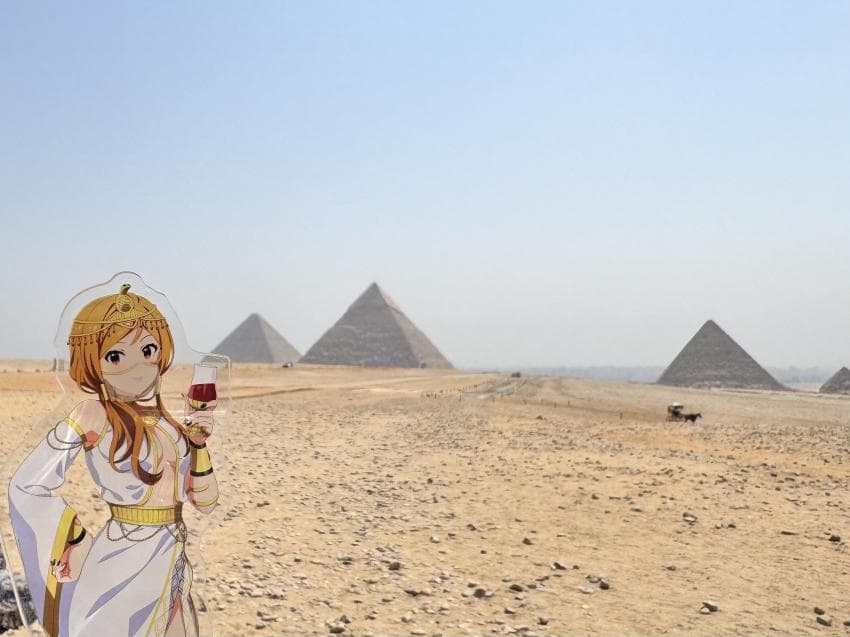 DC Inside 이미지 7