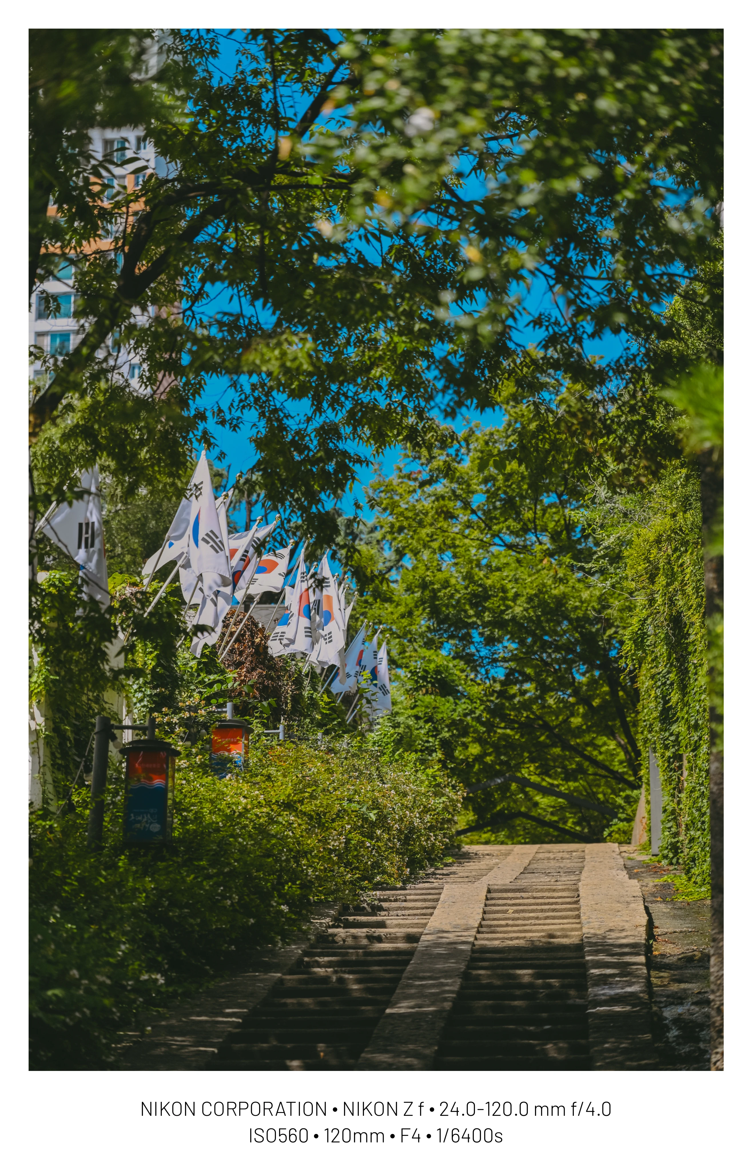 DC Inside 이미지 18