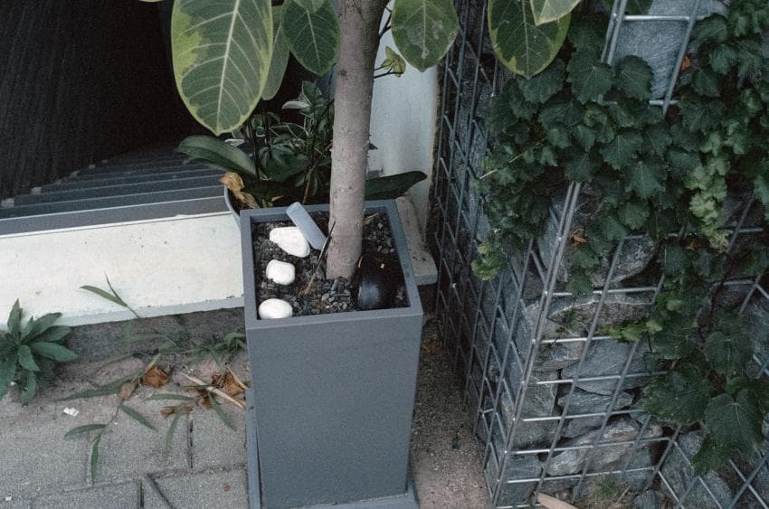 DC Inside 이미지 14