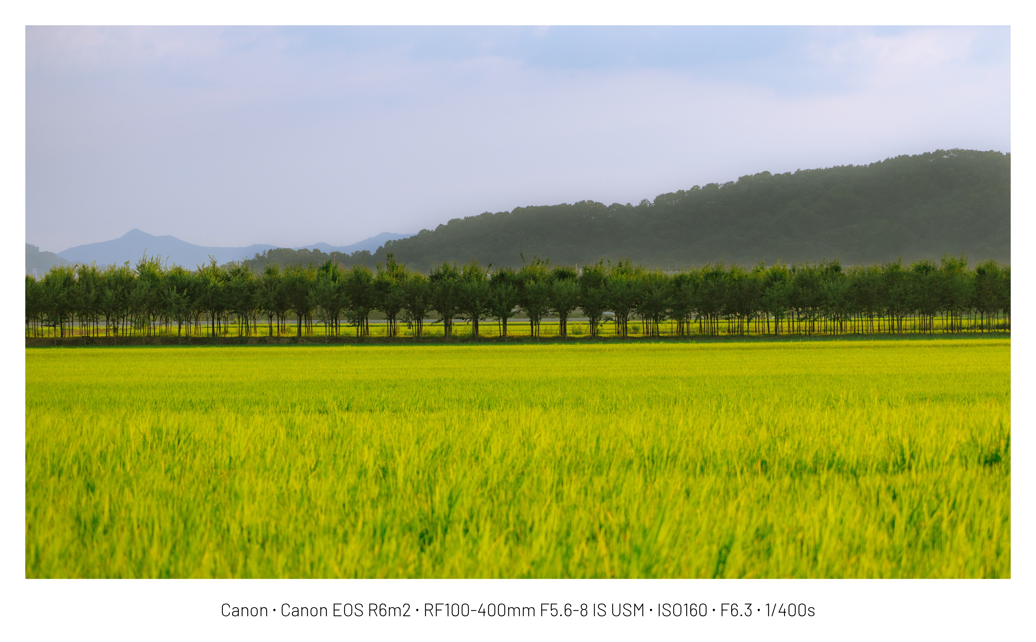 DC Inside 이미지 11