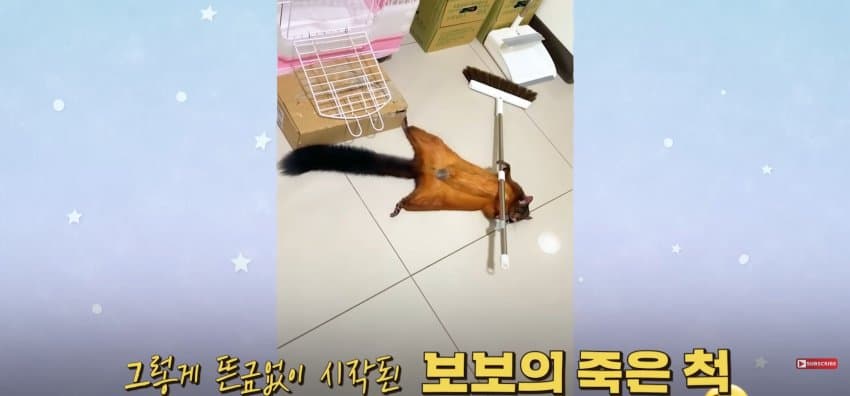DC Inside 이미지 7