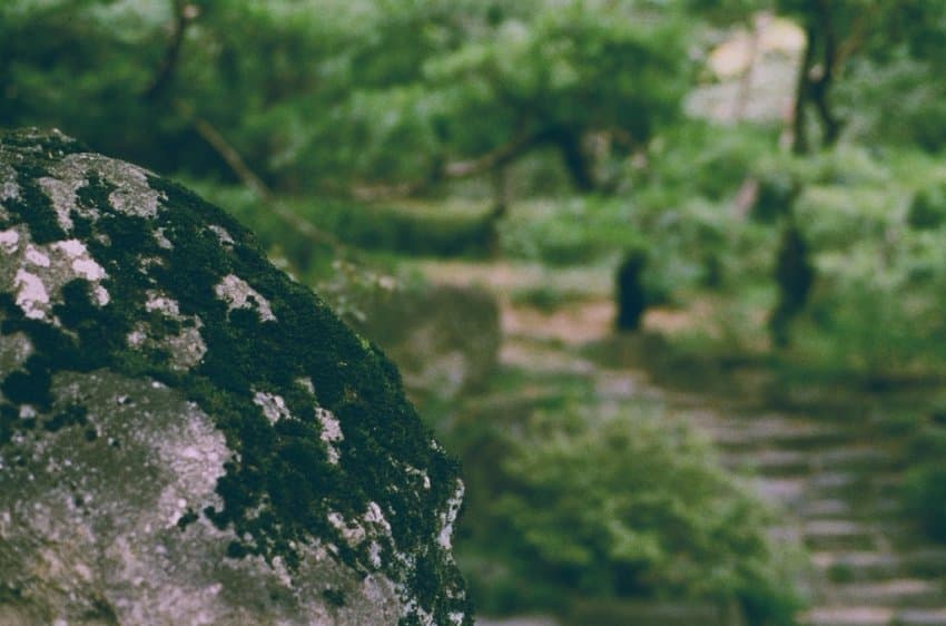 DC Inside 이미지 4