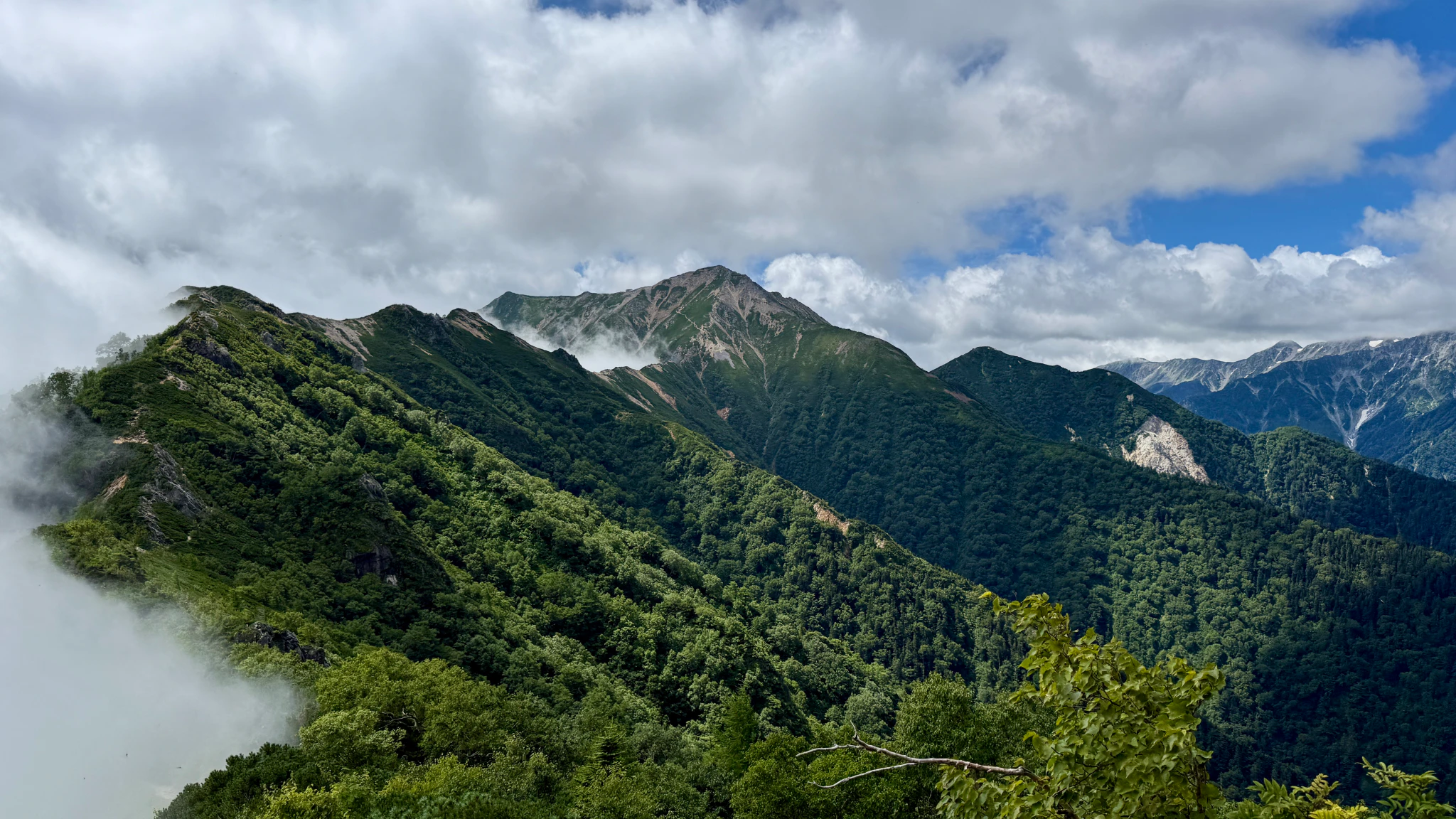 DC Inside 이미지 14