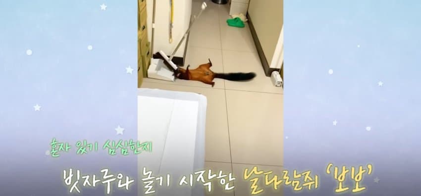 DC Inside 이미지 2