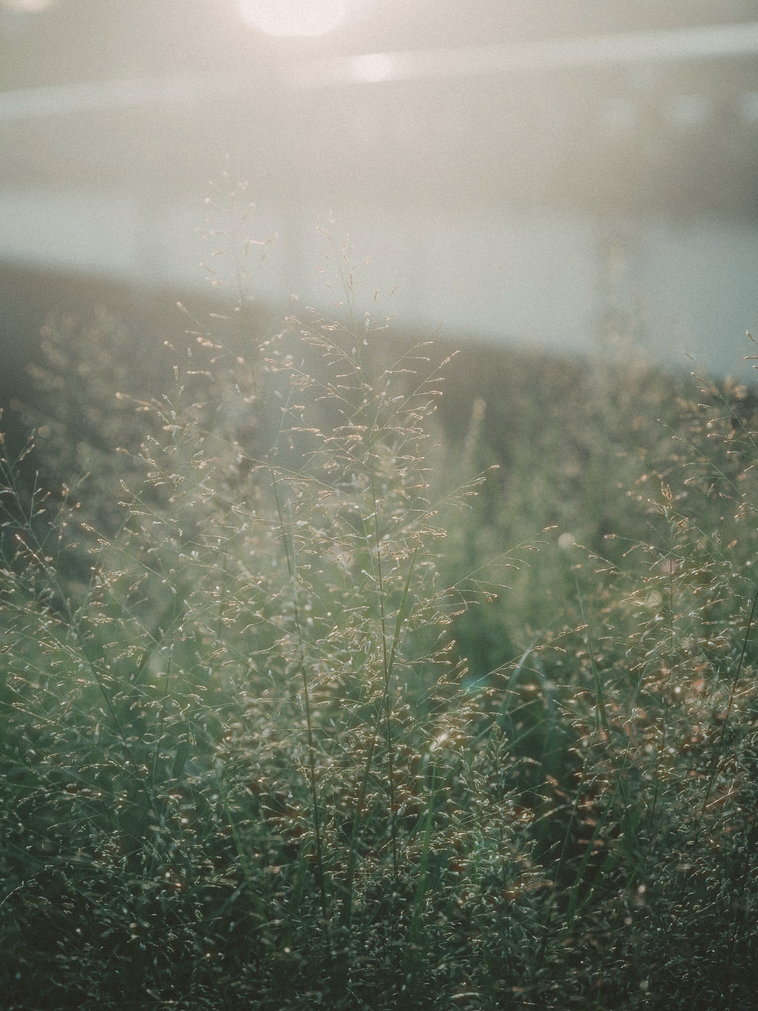 DC Inside 이미지 13