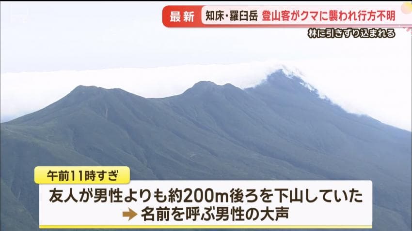 DC Inside 이미지 4