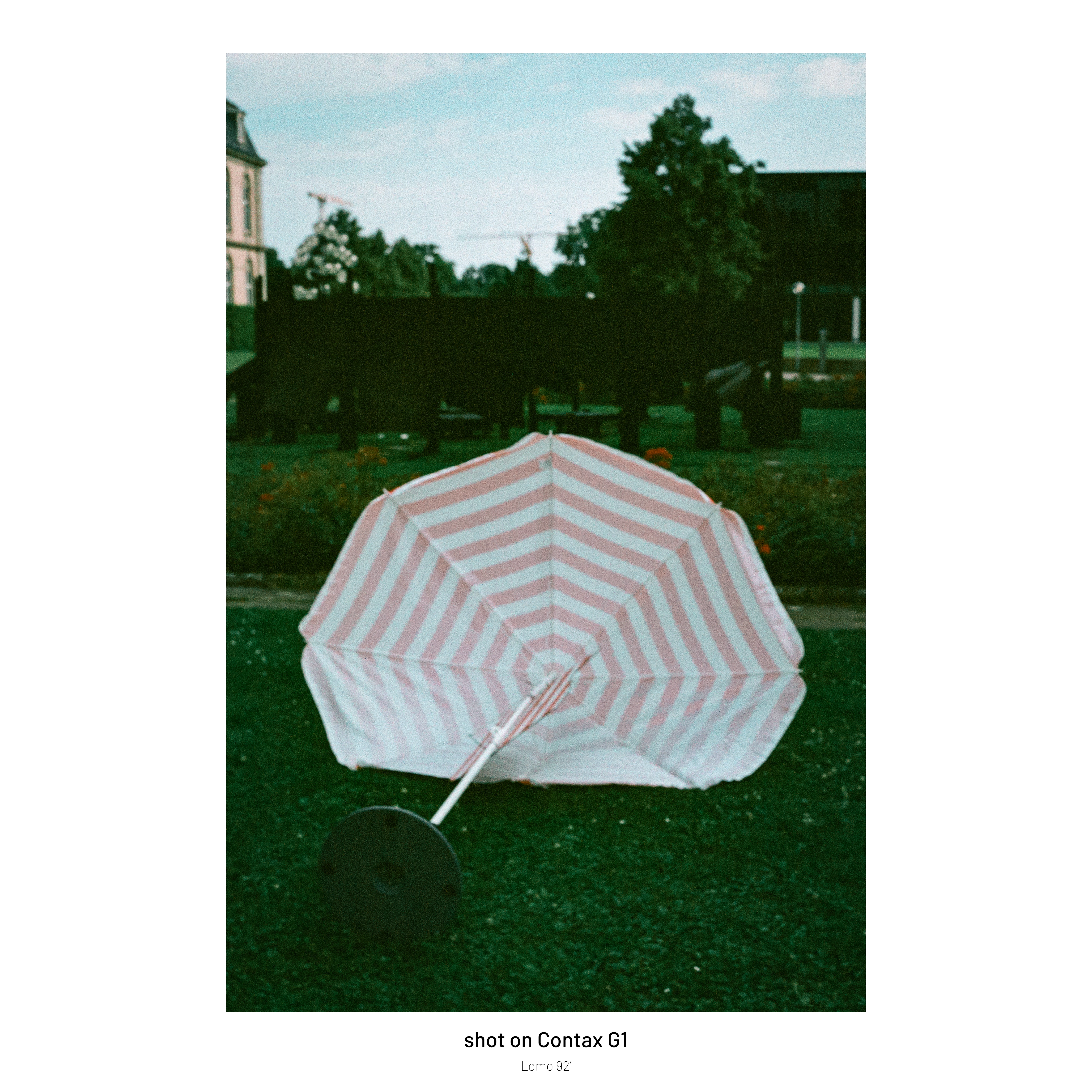 DC Inside 이미지 2