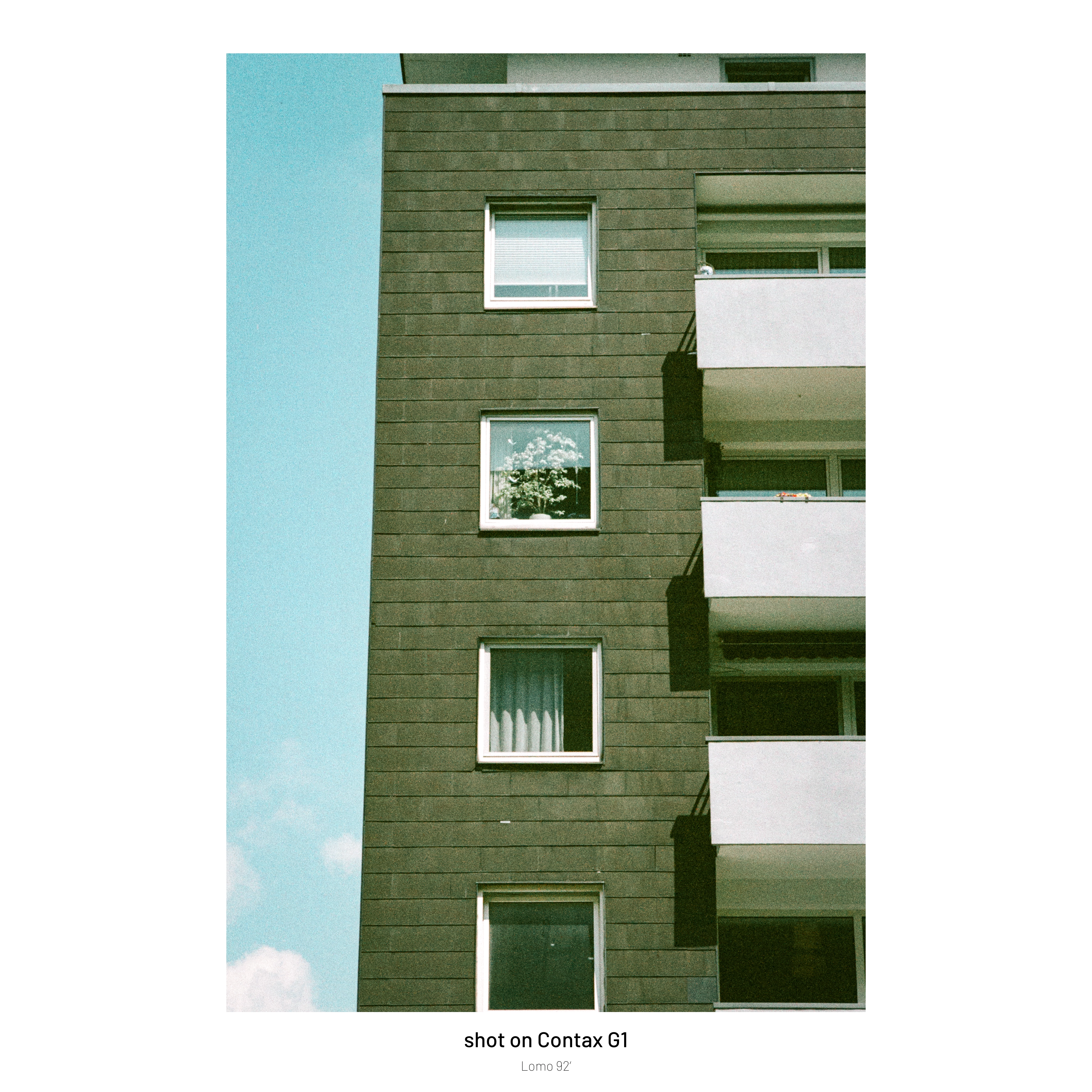 DC Inside 이미지 9