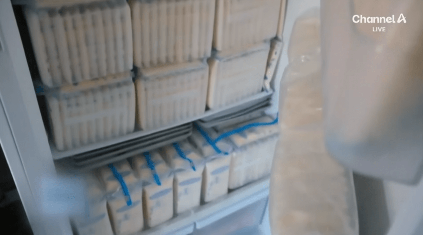 DC Inside 이미지 12