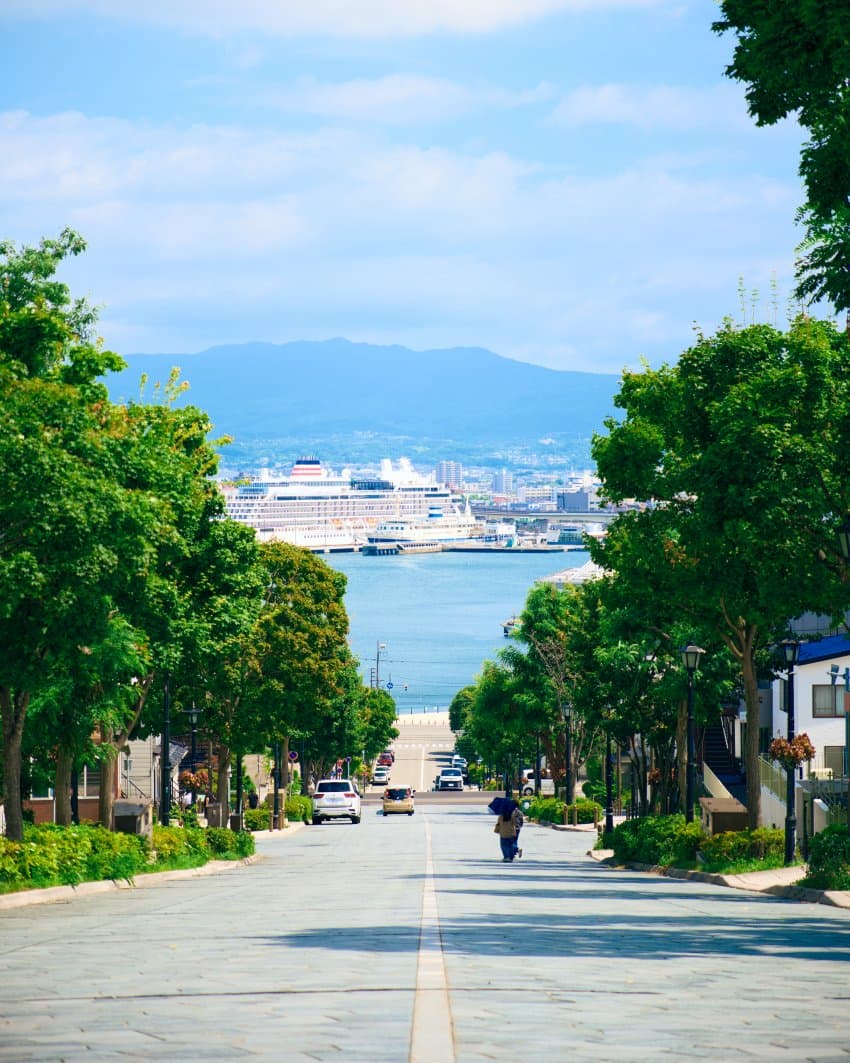 DC Inside 이미지 6