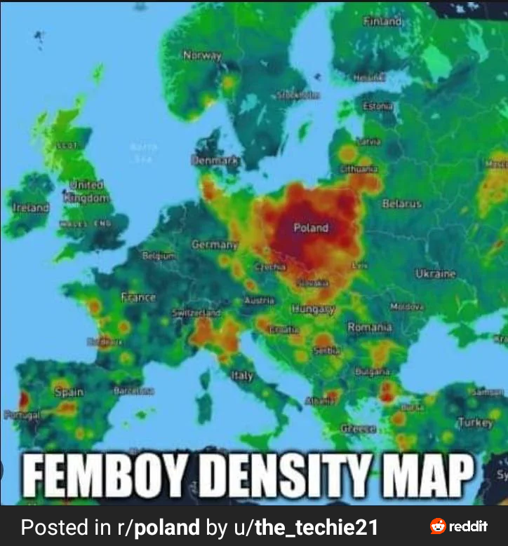 DC Inside 이미지 8