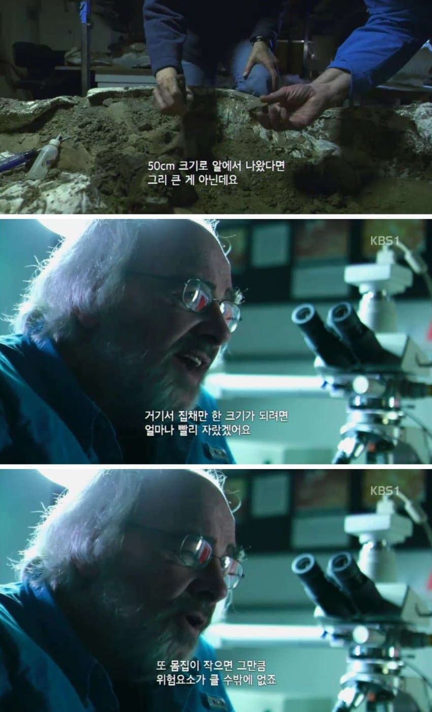 DC Inside 이미지 15
