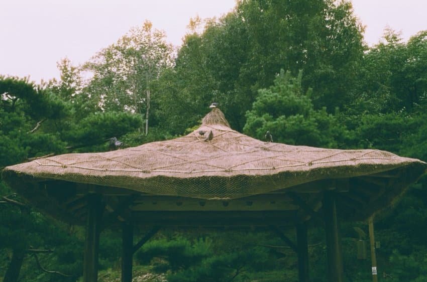 DC Inside 이미지 14