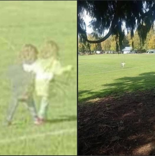 DC Inside 이미지 20