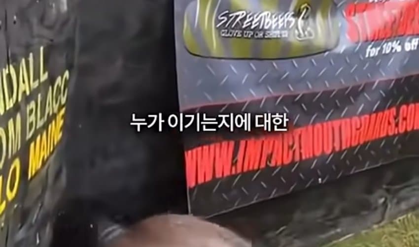 DC Inside 이미지 3