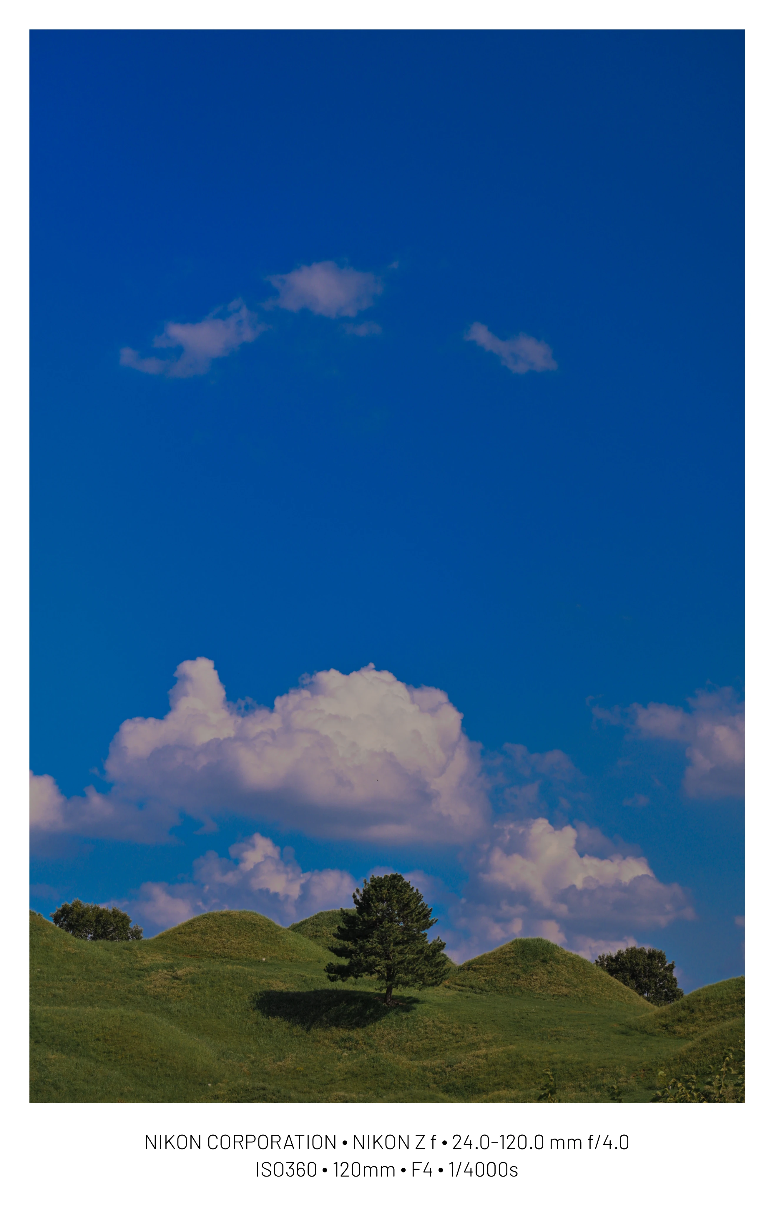 DC Inside 이미지 14