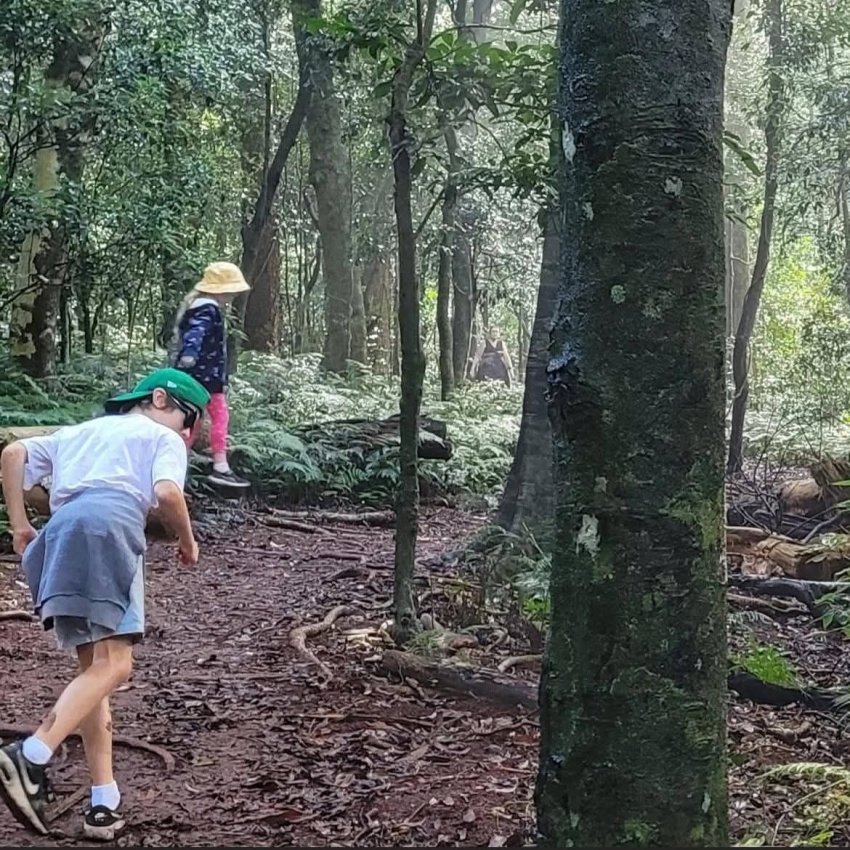 DC Inside 이미지 6