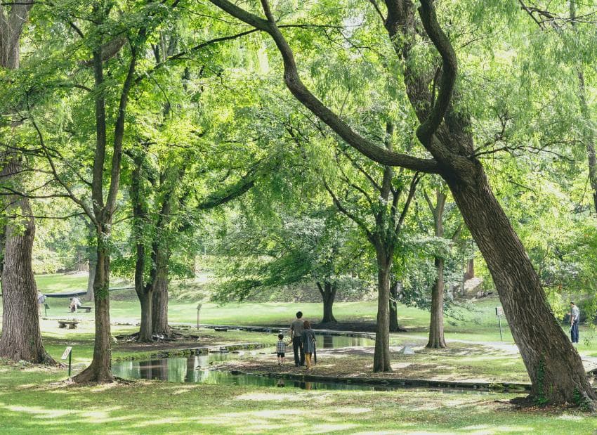 DC Inside 이미지 9