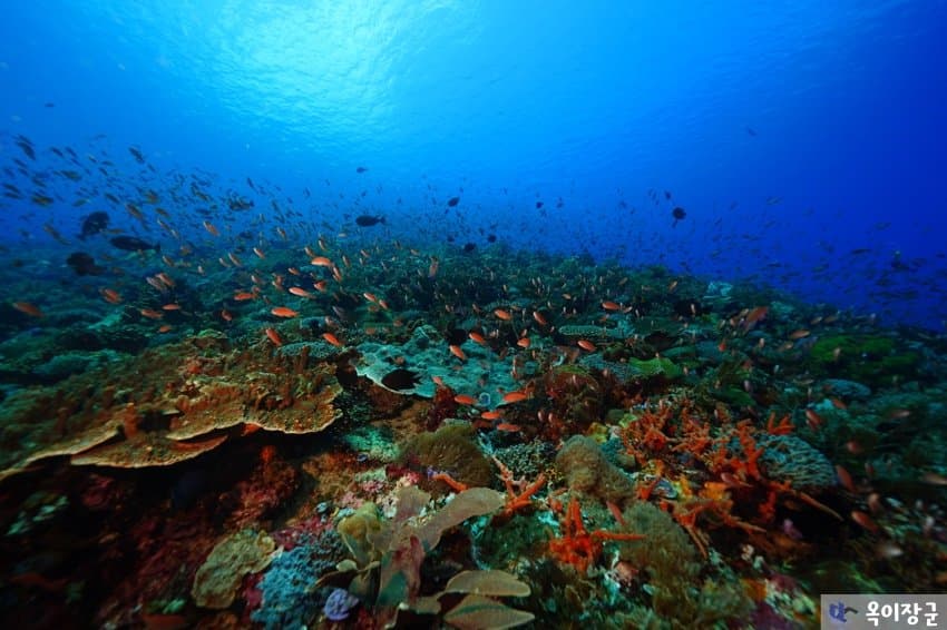 DC Inside 이미지 3