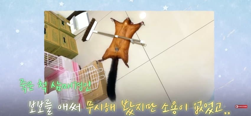 DC Inside 이미지 12