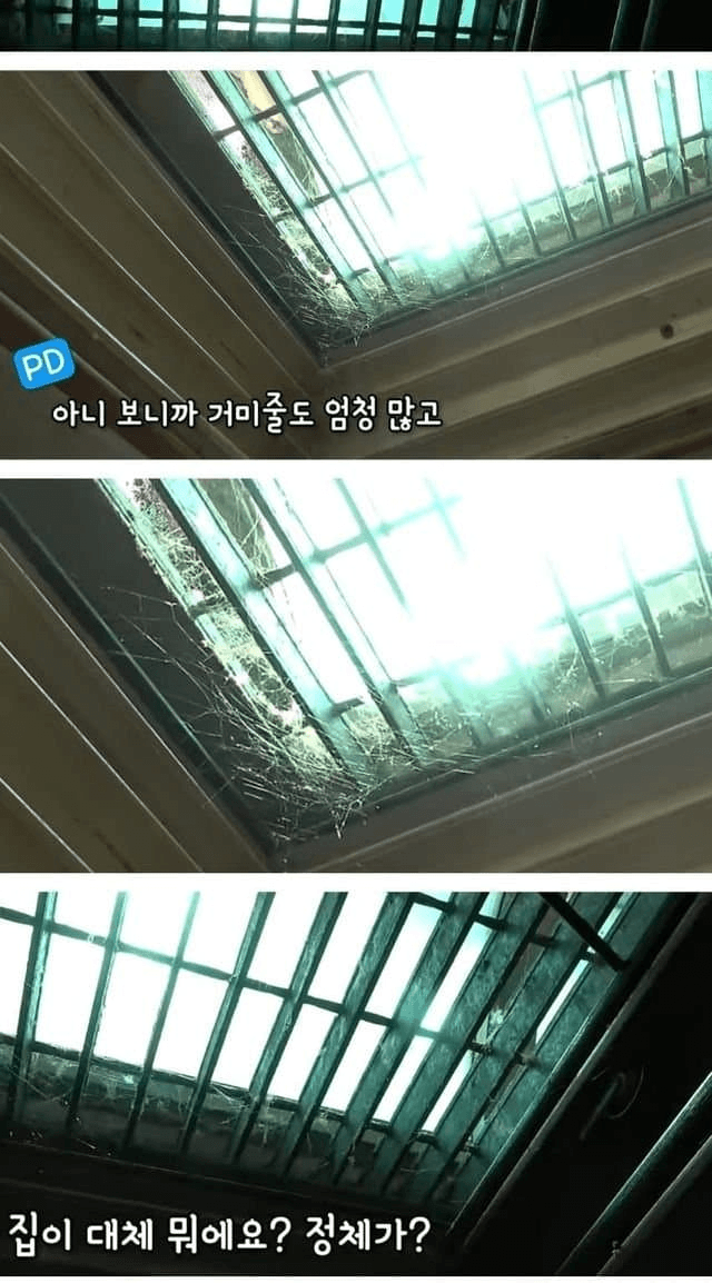 DC Inside 이미지 4