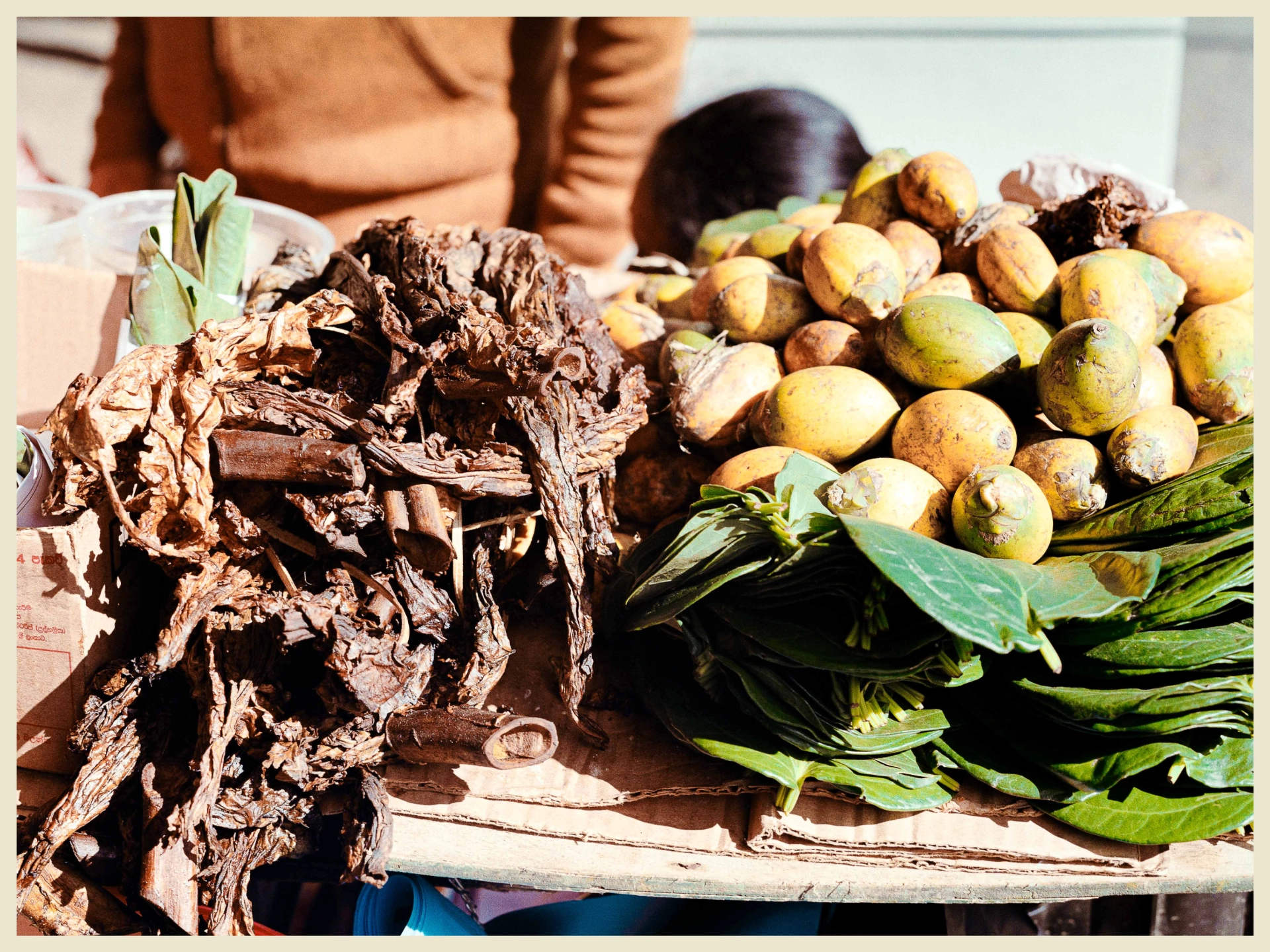 DC Inside 이미지 16