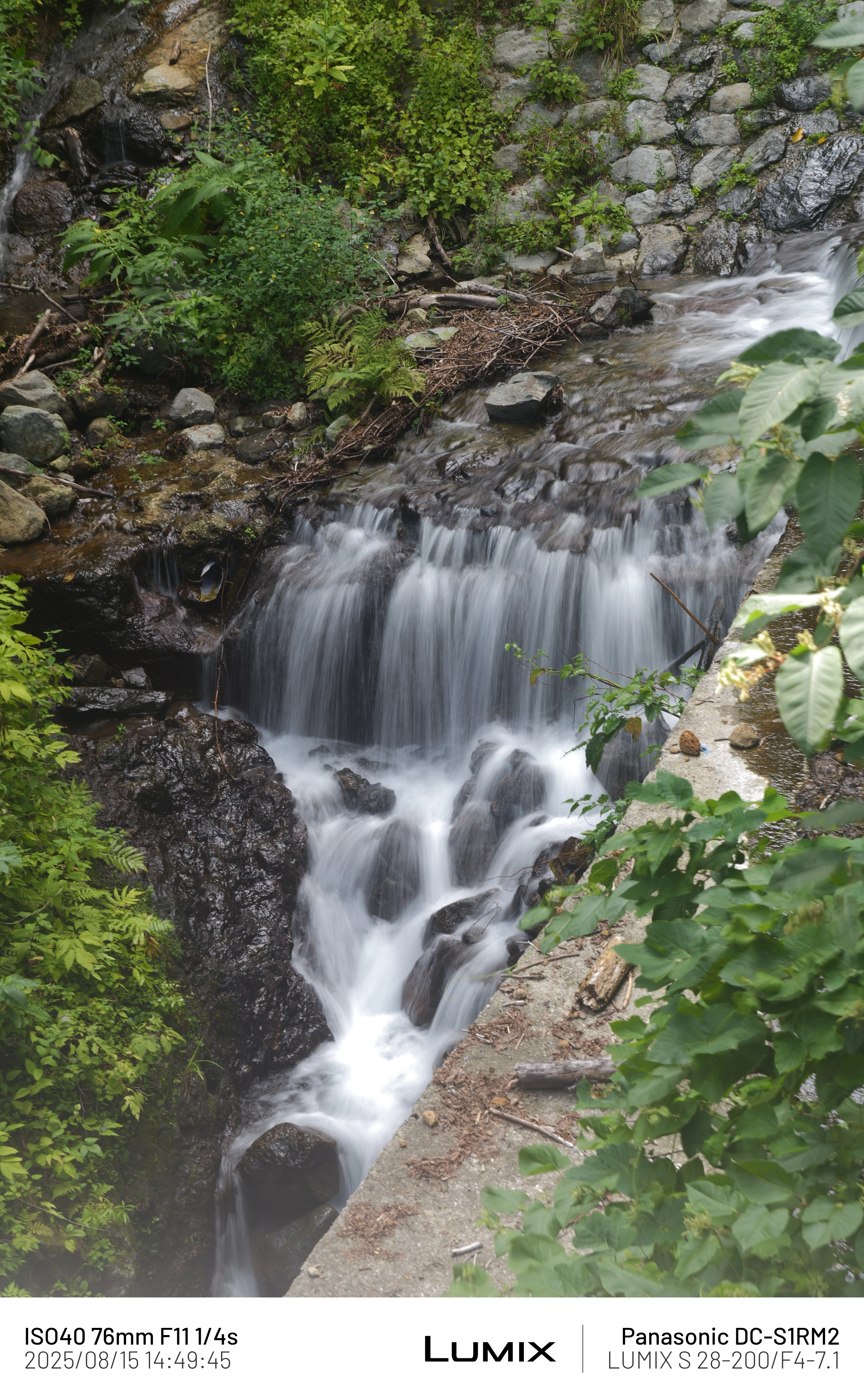 DC Inside 이미지 18