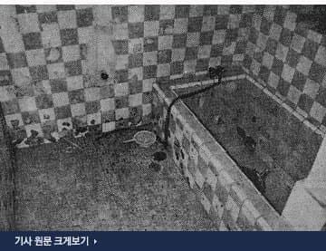 DC Inside 이미지 13