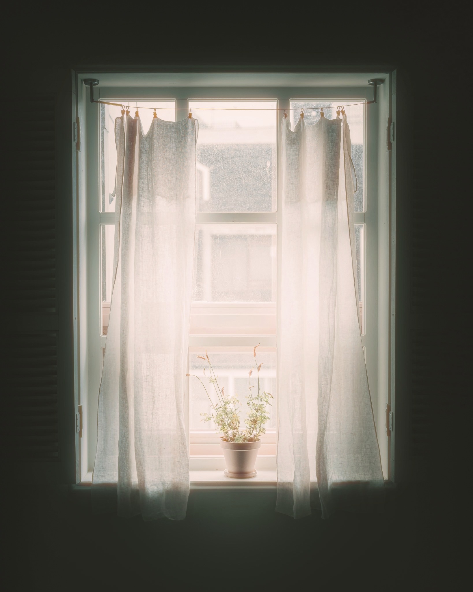 DC Inside 이미지 12