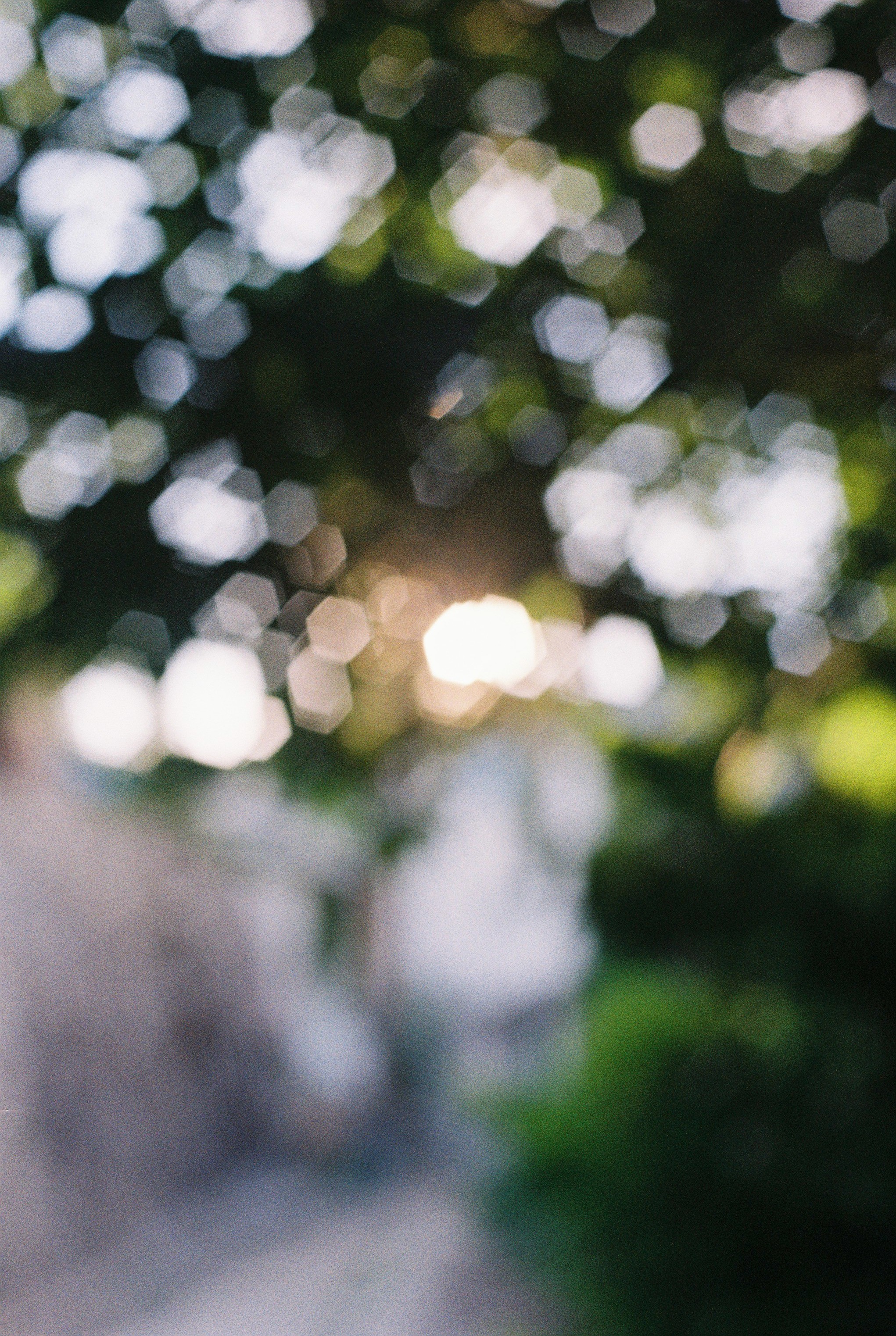 DC Inside 이미지 18