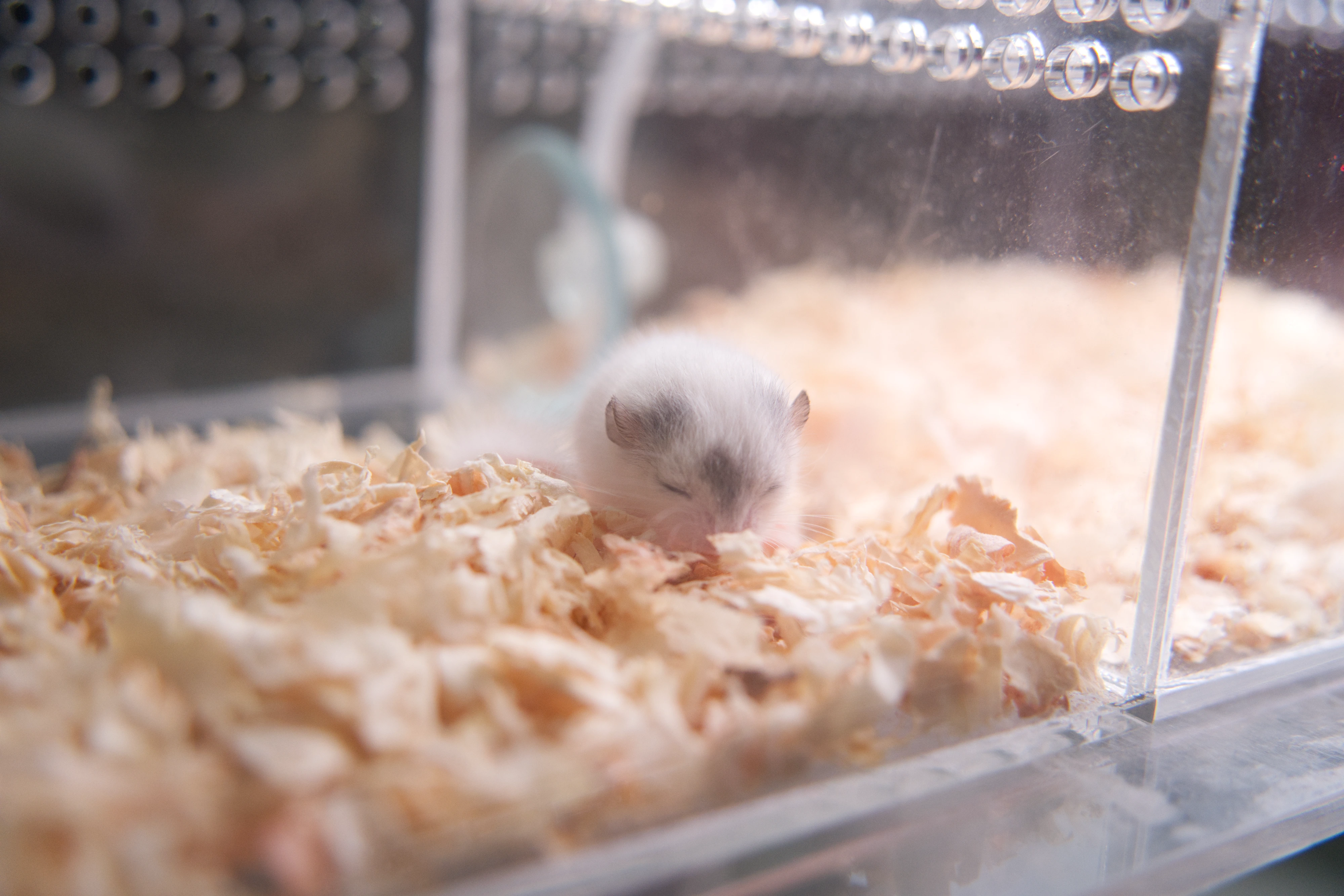 DC Inside 이미지 11