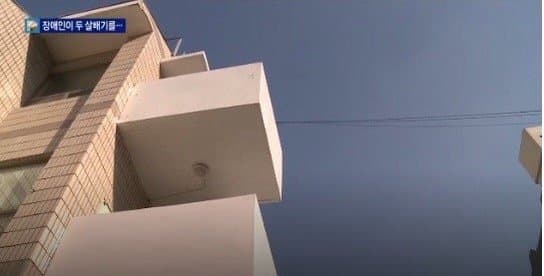 DC Inside 이미지 6