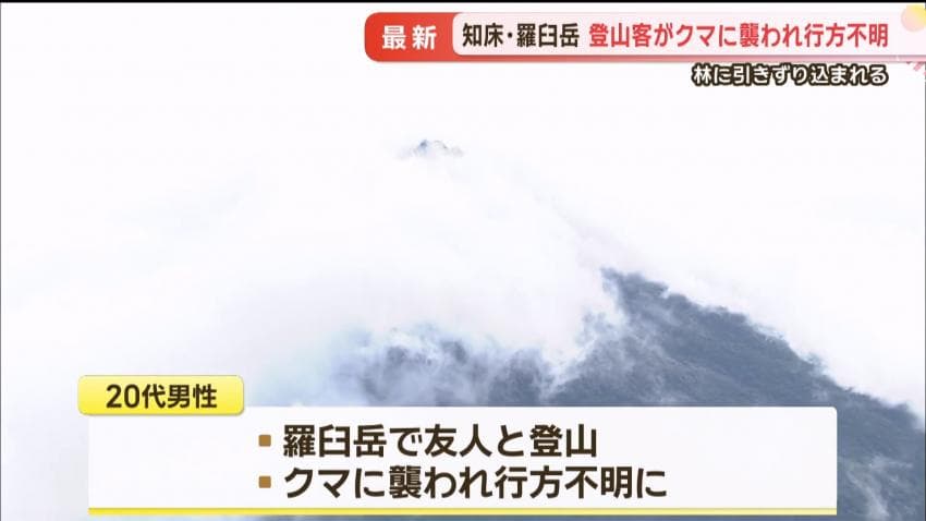 DC Inside 이미지 2