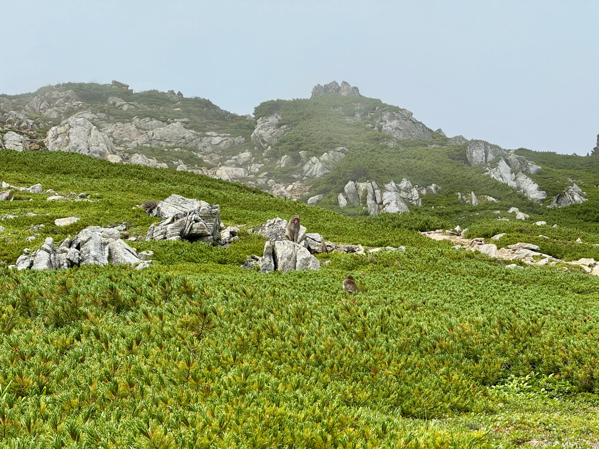 DC Inside 이미지 8