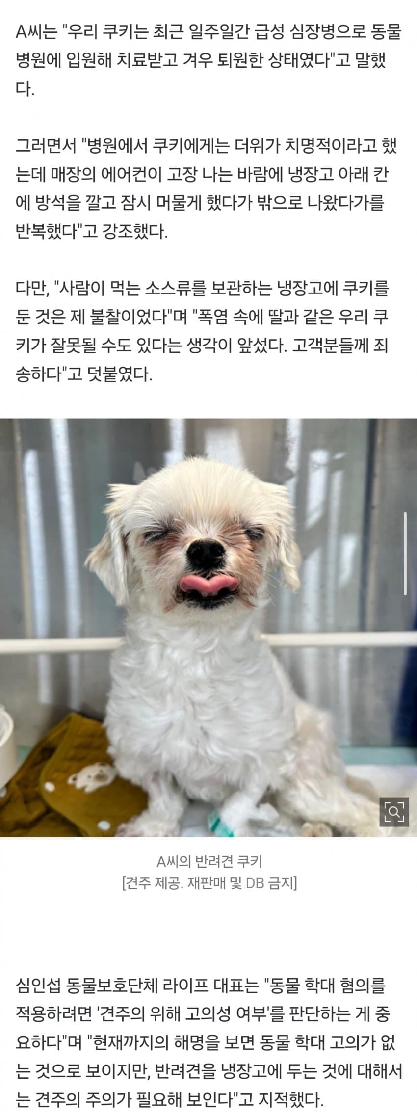 DC Inside 이미지 3