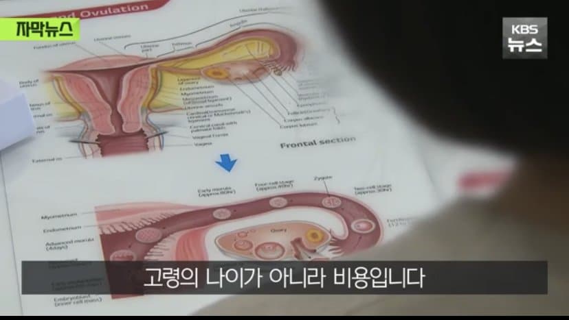 DC Inside 이미지 2