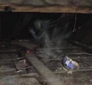 DC Inside 이미지 14