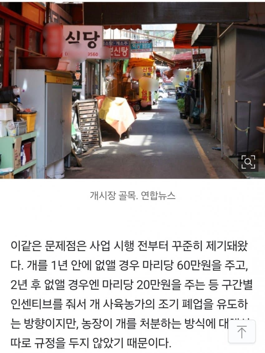 DC Inside 이미지 5