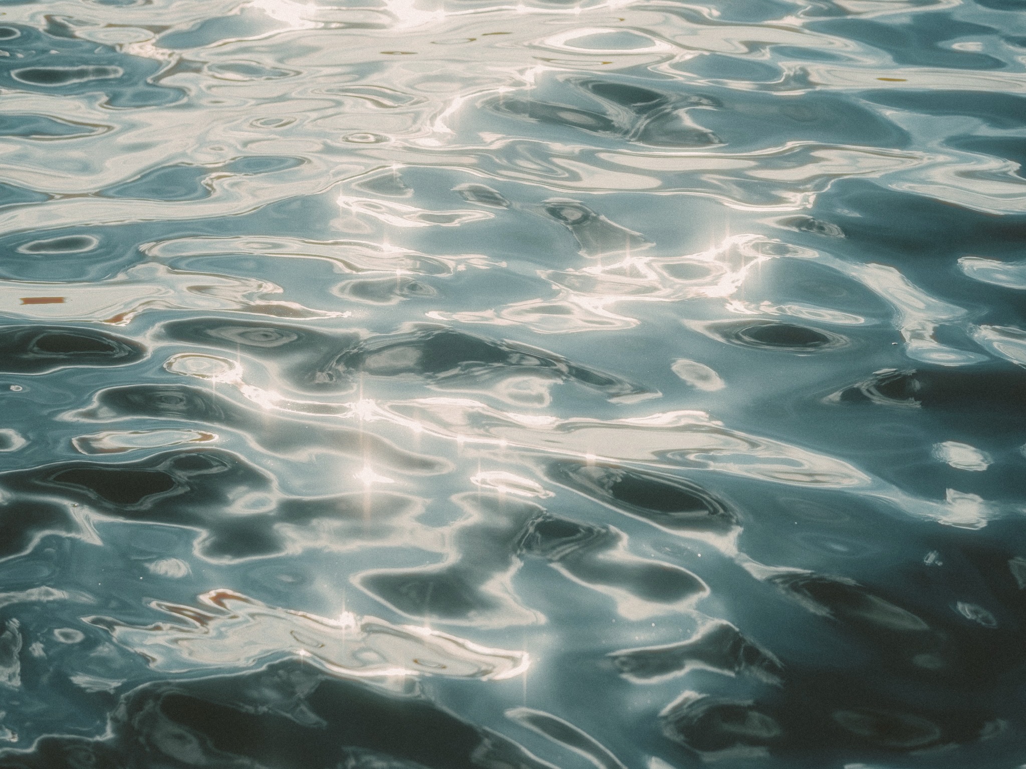 DC Inside 이미지 14