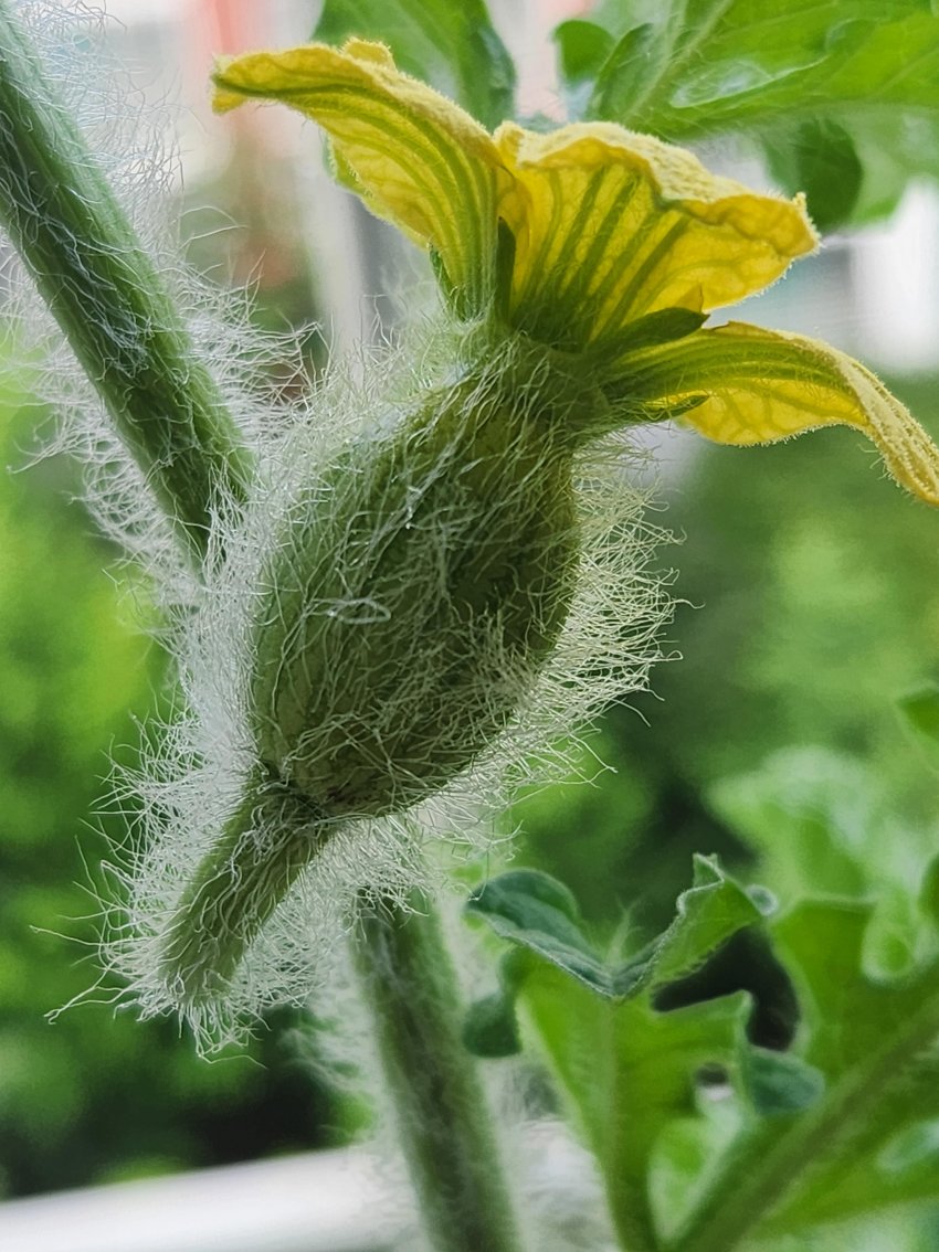 DC Inside 이미지 14