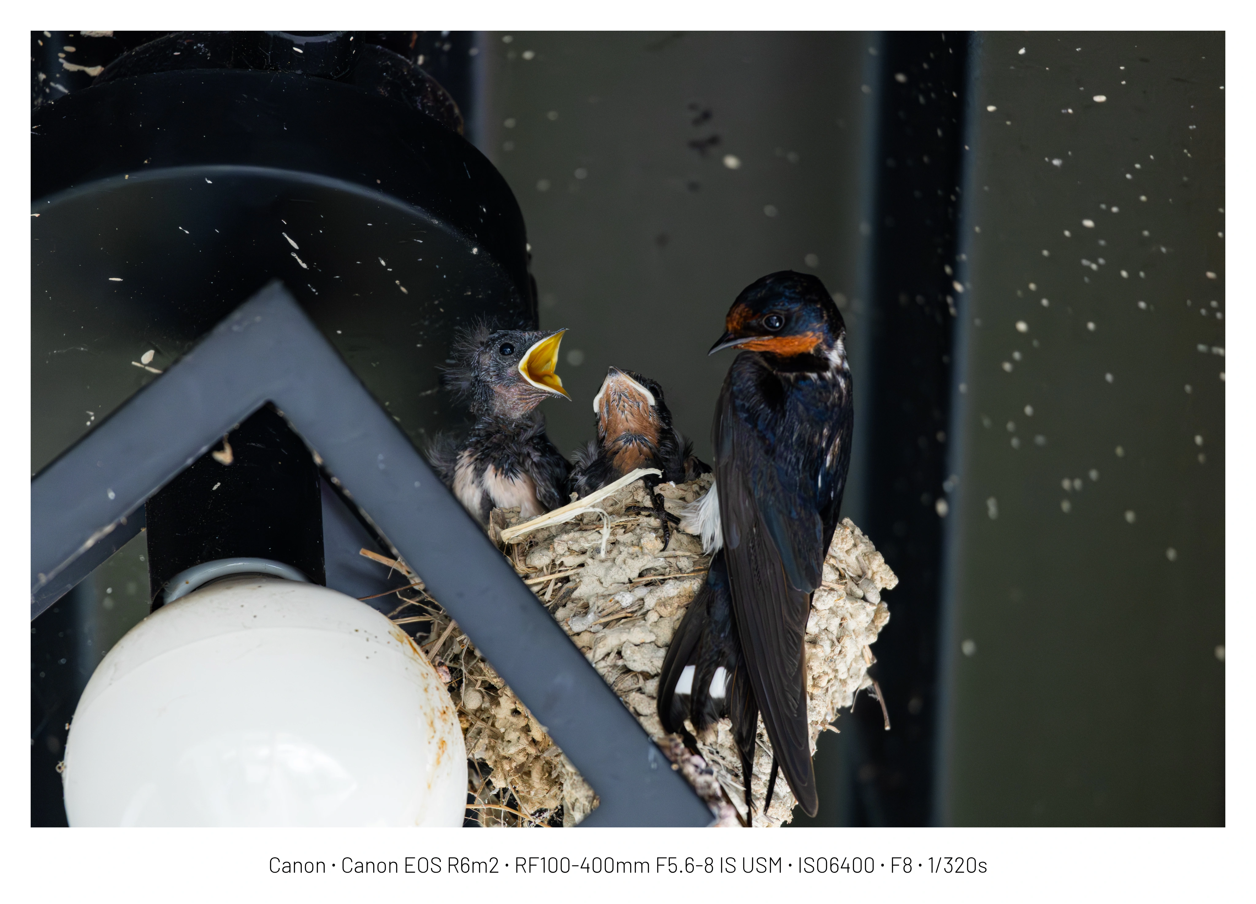 DC Inside 이미지 9