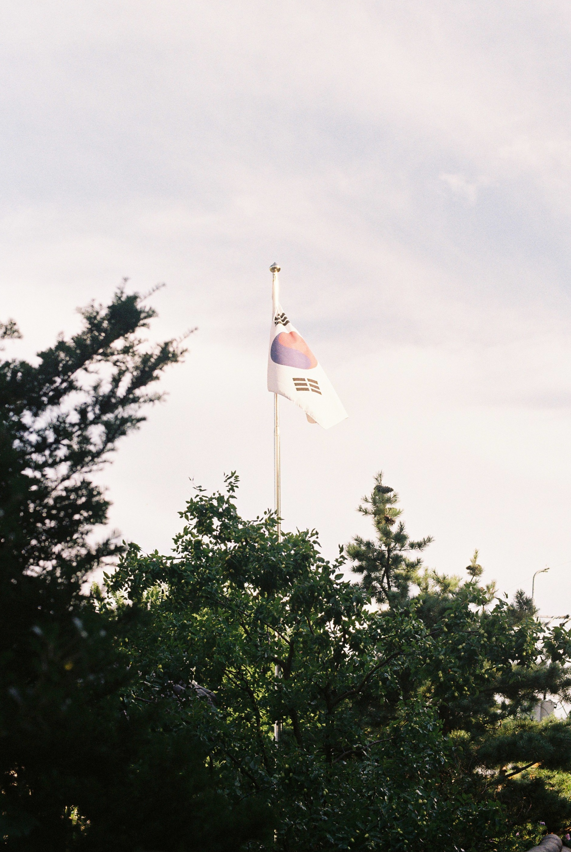 DC Inside 이미지 7