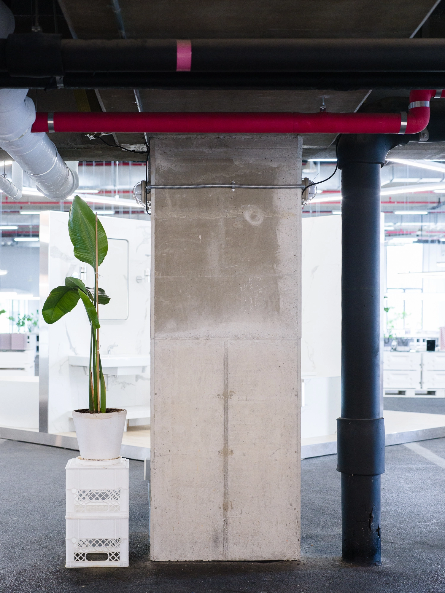 DC Inside 이미지 7