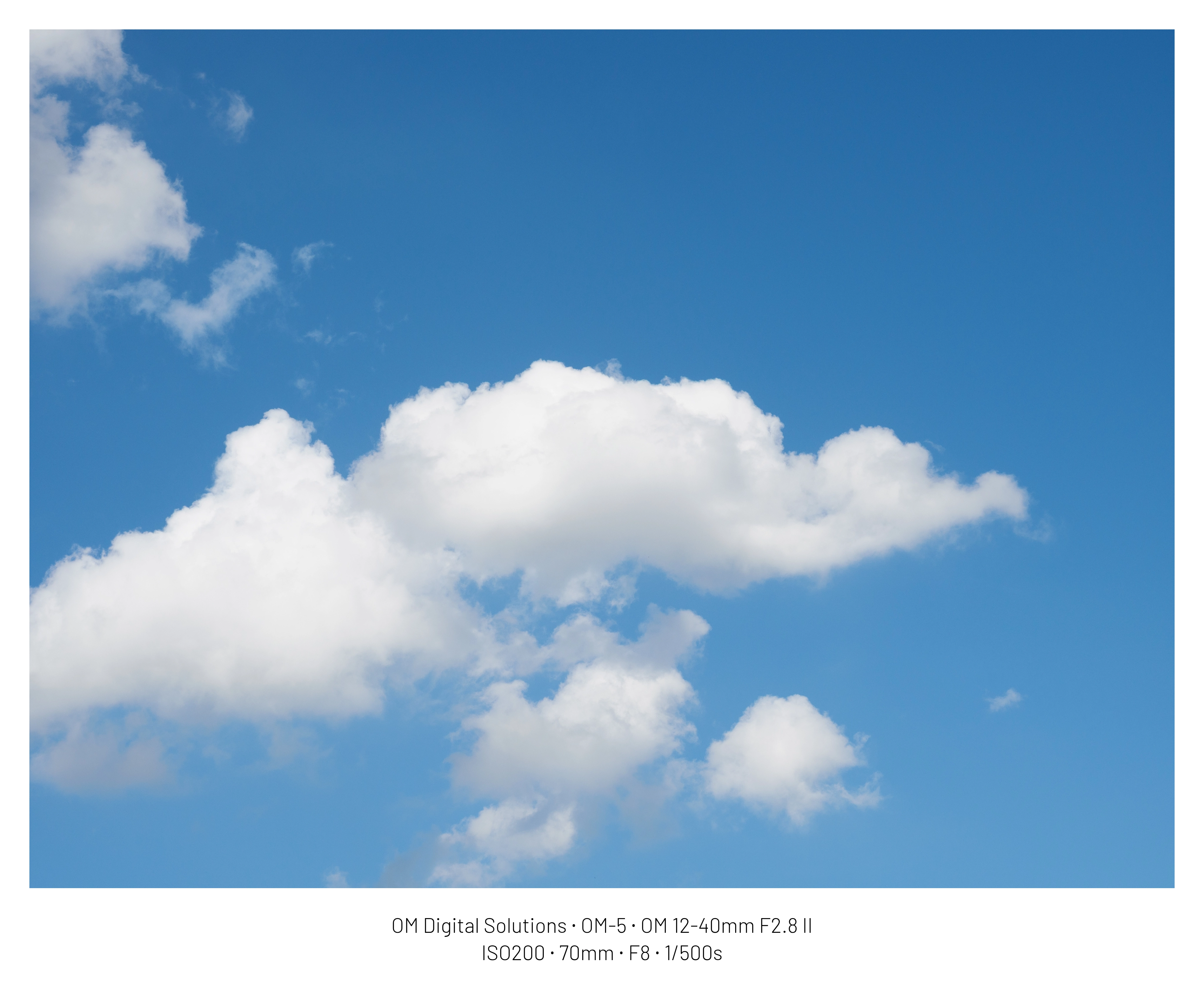 DC Inside 이미지 3